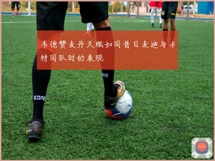 韦德赞麦丹天赋如同昔日麦迪与卡特同队时的表现