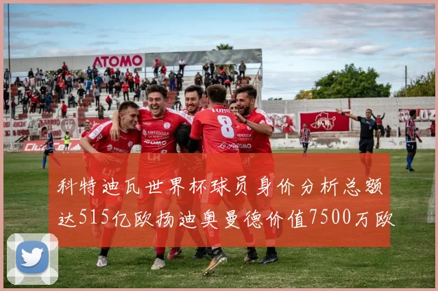 科特迪瓦世界杯球员身价分析总额达515亿欧扬迪奥曼德价值7500万欧